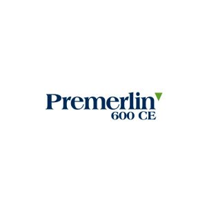 Seferno herbicida Premerlin® 600 CE pre-emergente y con prolongado efecto residual, se aplica directamente sobre la superficie del suelo bien preparado.