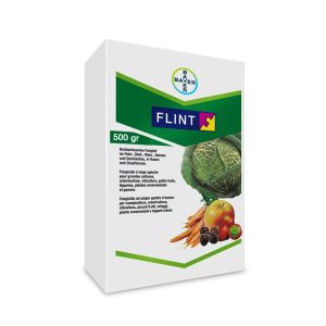 Seferno fungicida FLINT 50 WG, eficaz herramienta para el manejo de resistencia a triazoles en vid y frutales.