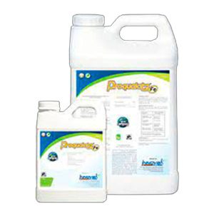 Seferno fertilizante foliar PROQUELATE MG, previene y corrige desordenes nutricionales ocasionados por deficiencia de magnesio.