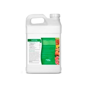 Seferno fertilizante foliar VITOL, que contiene macro y micro nutrientes orgánicamente complejado. Provee los nutrientes y la energía necesarios para estimular una elongación y crecimiento uniforme de los tallos.